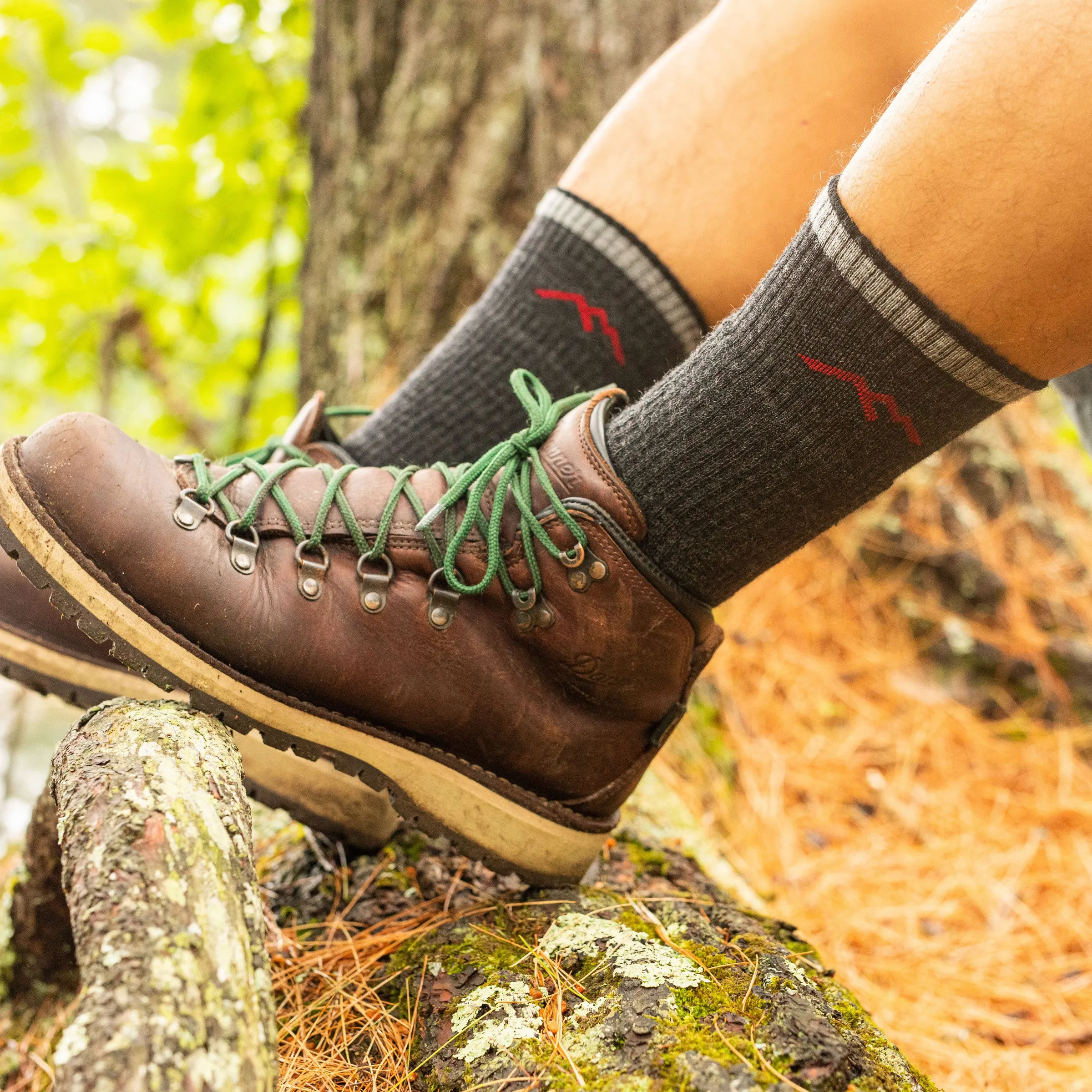 Men's Hiker Boot  Midweight Hiking Sock